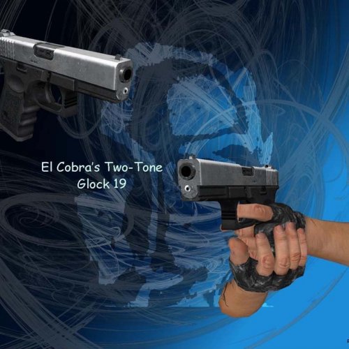 Two Tone Glock 19