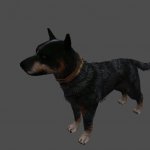 pc_dog