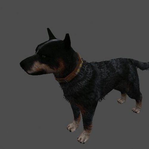 pc_dog