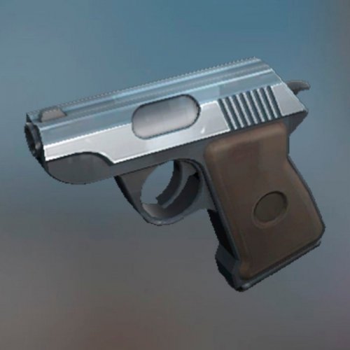 Pistol