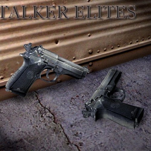 S.T.A.L.K.E.R Elites