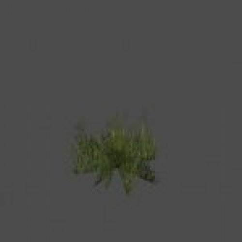 grass8