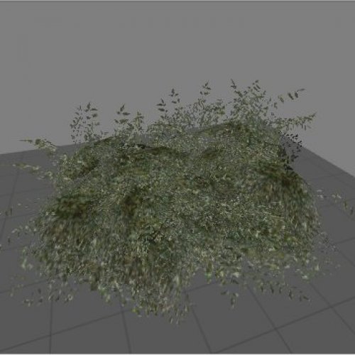 Mall_fern01