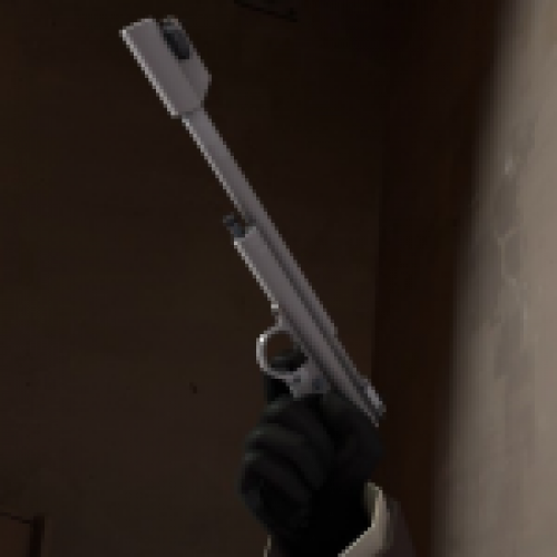 Tranquilizer Gun