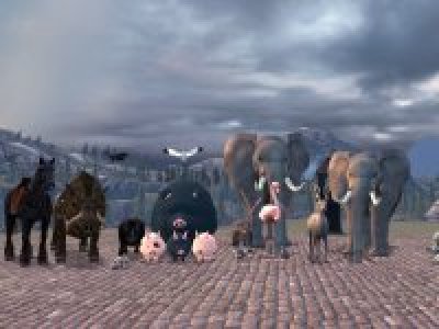 Animal Pack V1