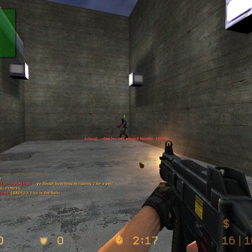 UMP Skin