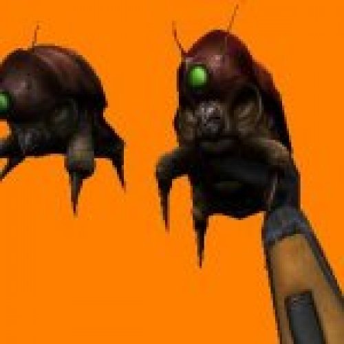 HL2 Squeak