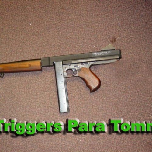 Trigger_s_Para_Tommy