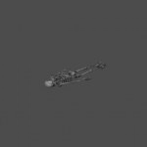 skeleton_avp