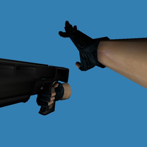 Alyx Gun