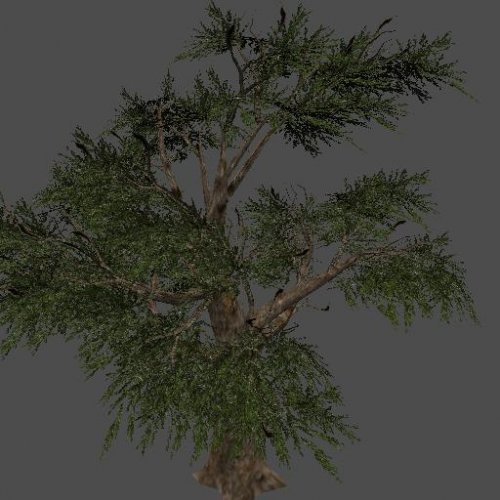 fnv_tree03