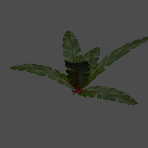 byka_bush