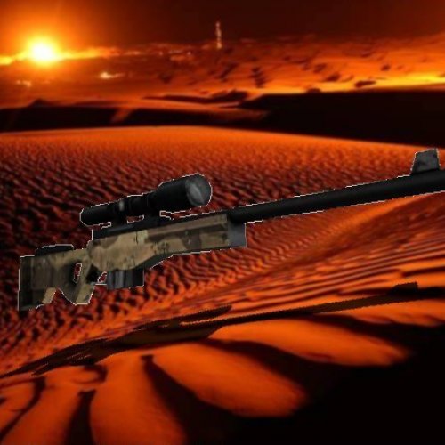 Black AWP W Laser