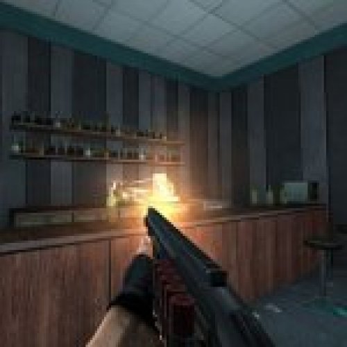 Practical And Tactical Sawed Off