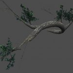 Tree08