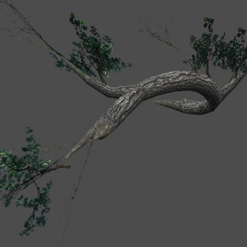 Tree08