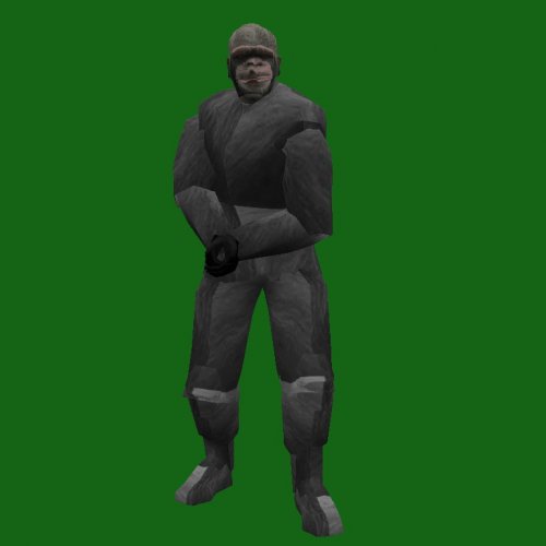 monkey