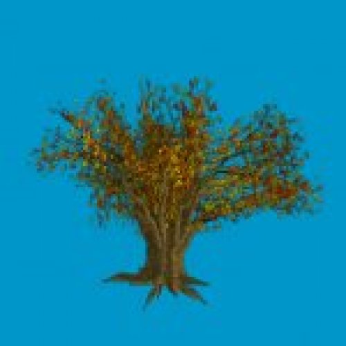 jn_falltree_skybox