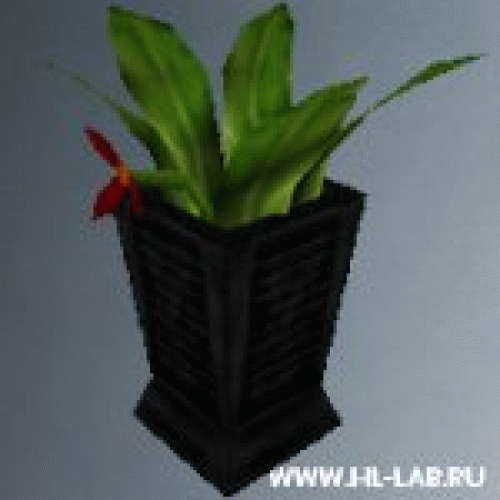 pot_flowers6