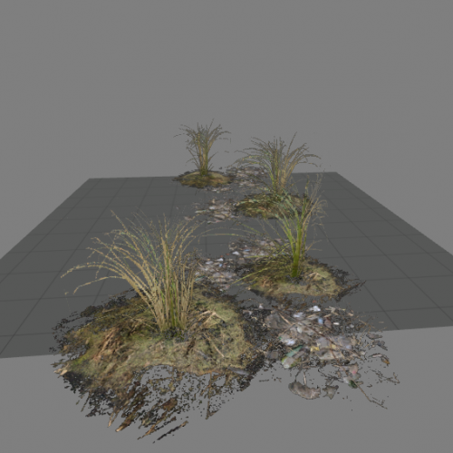 l10swamp_plant_group2