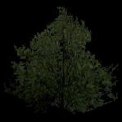newtree07.mdl