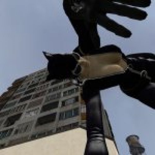 catwoman