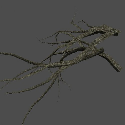 S_ENV_TreeRoots03