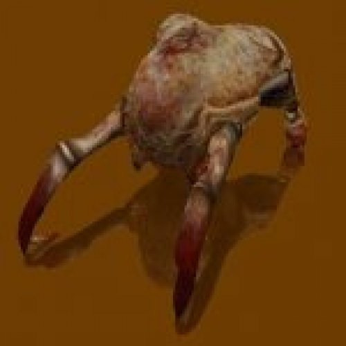 New headcrab