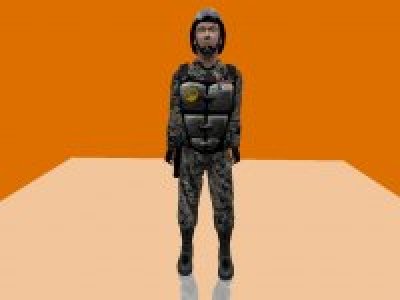 Gray Digital Camouflage Pack