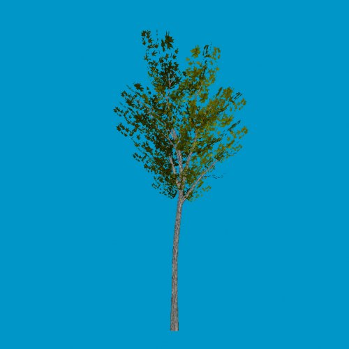 tree05_sg
