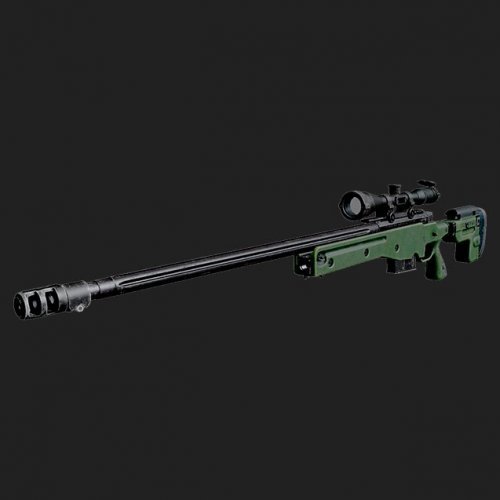 Blackops:Cold War AWM