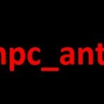 Доработаная Настройка среды npc_ant