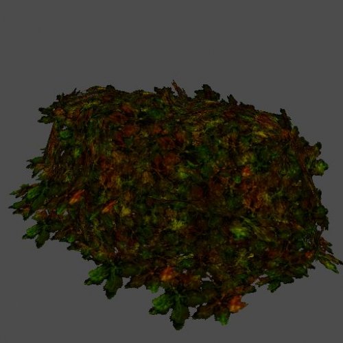 bush05