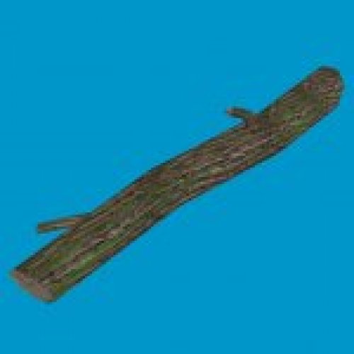wood c