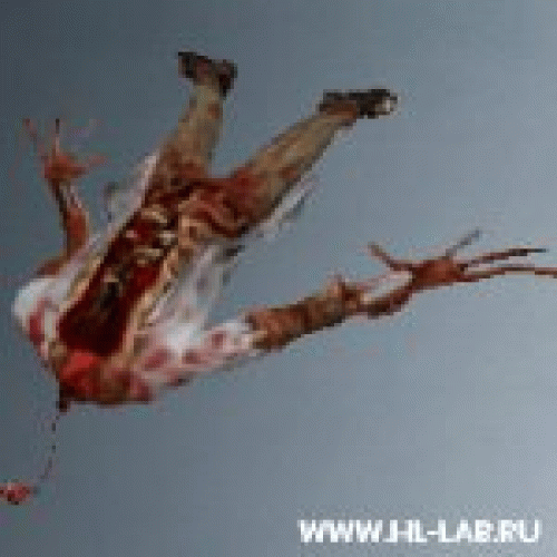 headless_zombie