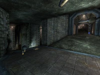 DM-Under_LE-2009