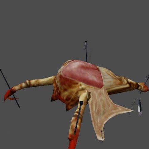 dissectedheadcrab