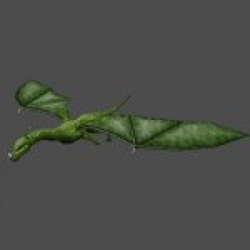 dragon1