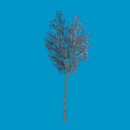 tree06_sg