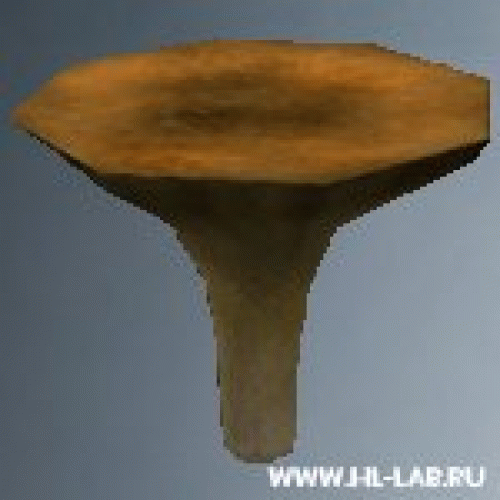 env_shroom2.zip