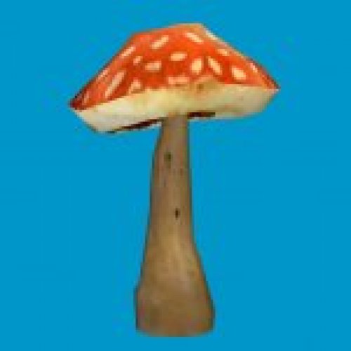 sta_shroom2