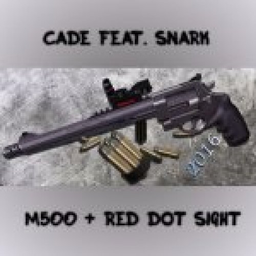 S&W M500 + Red Dot Sight