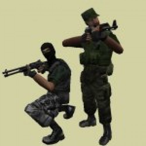 Terrorists