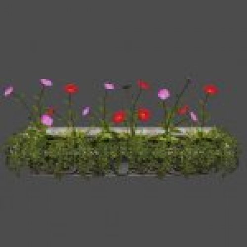 planter