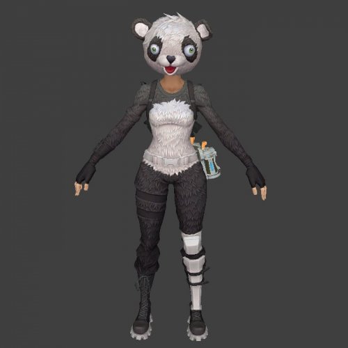 P.A.N.D.A Team Leader