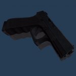 Glock 19 with jenn anim and CZ arm