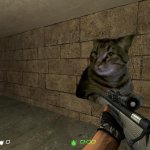 scout spiral
