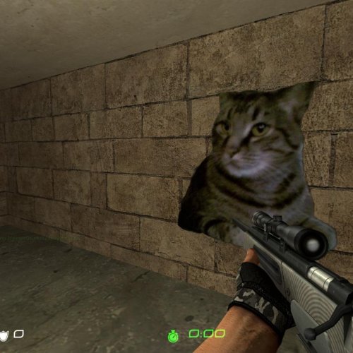 scout spiral