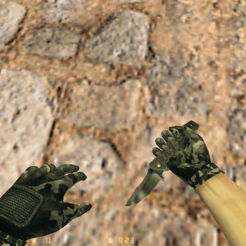 CAMO CZ Arms