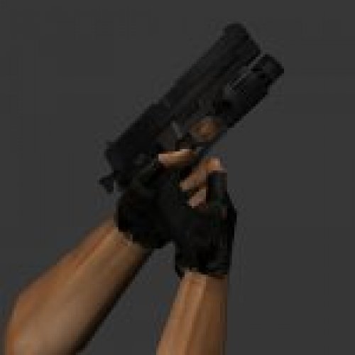 Sig P228 Torch Dark sk187